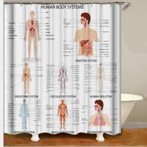 rideau douche avenue anatomie