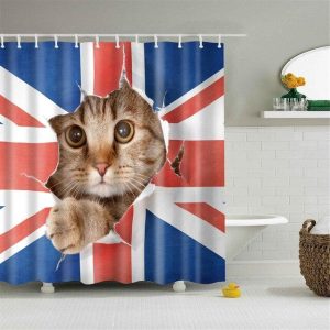 rideau douche chat anglais